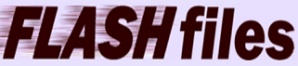 Flash-Files Premium 30 Days